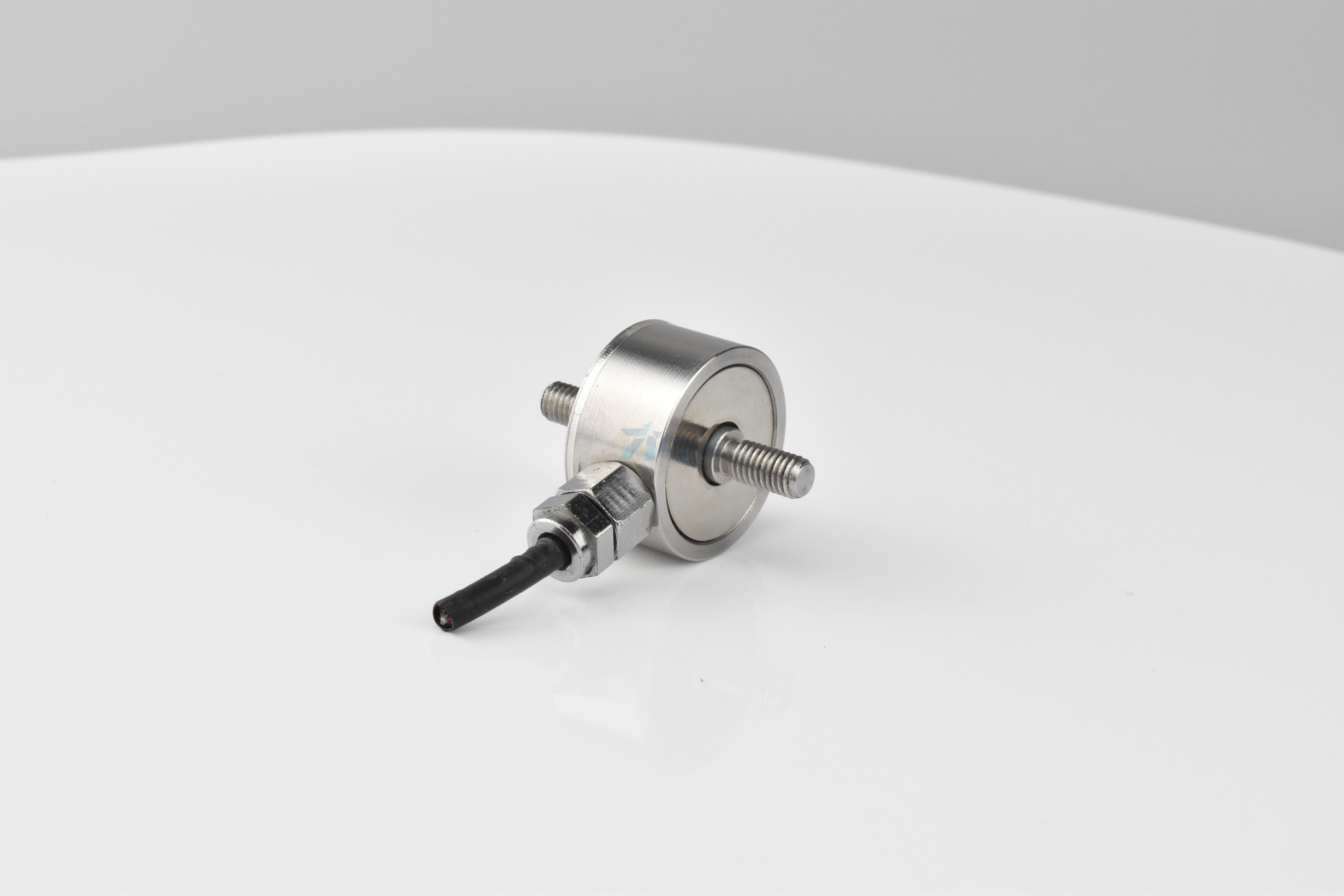 稱重傳感器由帶應變片的彈性體組成(圖1) DSC_0021.JPG