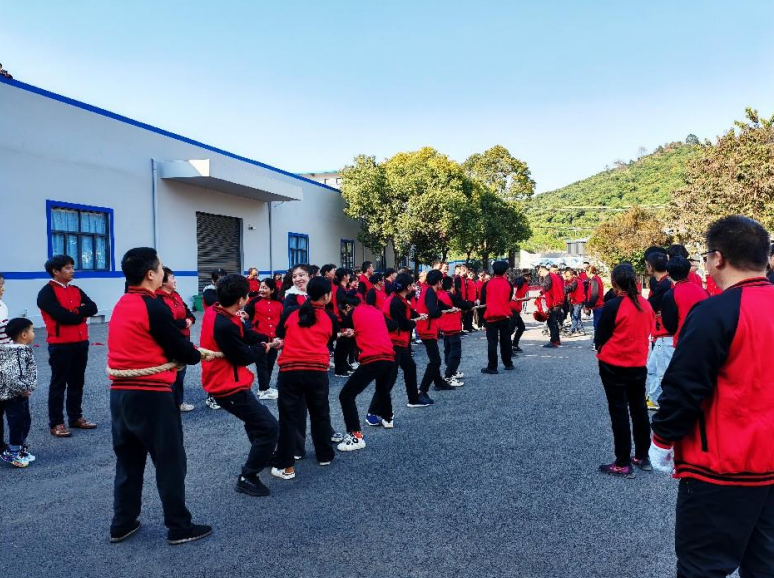 力準傳感 2025 新春特輯:蛇舞祥瑞,感恩同行(圖3) image.png